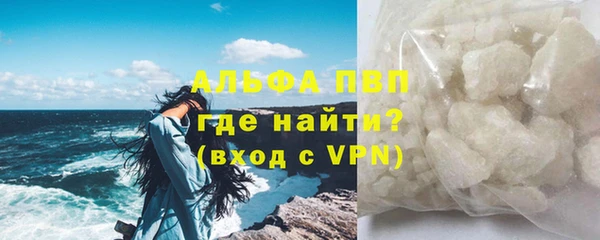 индика Беломорск