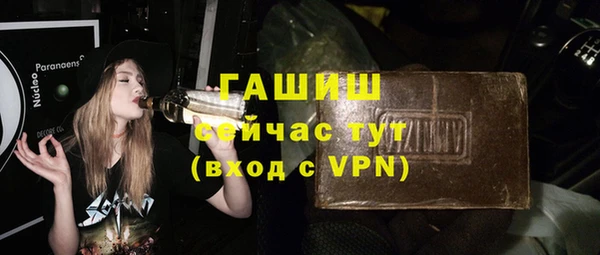 индика Беломорск
