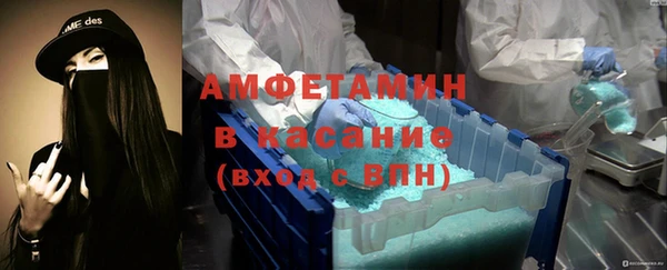 индика Беломорск