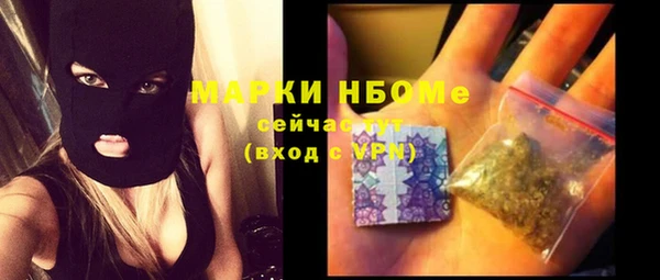 индика Беломорск