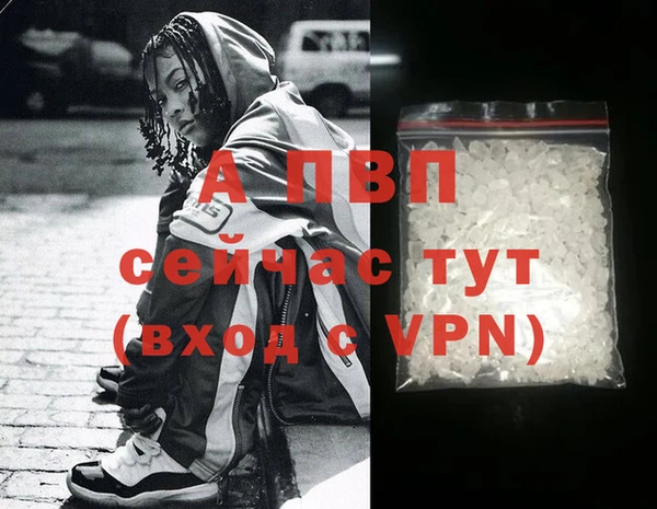 ПСИЛОЦИБИНОВЫЕ ГРИБЫ Белокуриха
