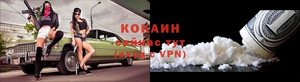 индика Беломорск