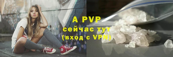 индика Беломорск