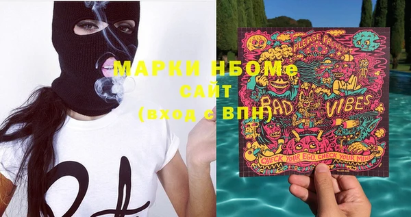 индика Беломорск