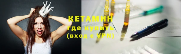 индика Беломорск