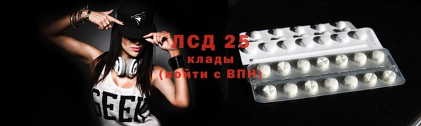ПСИЛОЦИБИНОВЫЕ ГРИБЫ Белокуриха