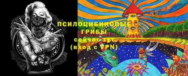 индика Беломорск