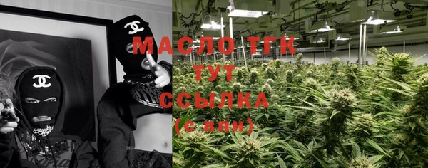индика Беломорск