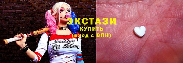 индика Беломорск