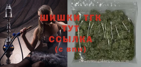 ПСИЛОЦИБИНОВЫЕ ГРИБЫ Белокуриха