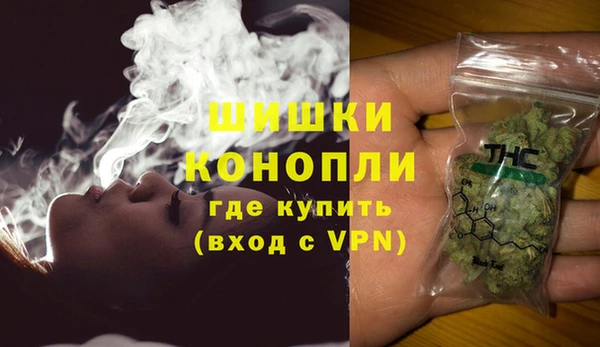 ПСИЛОЦИБИНОВЫЕ ГРИБЫ Белокуриха