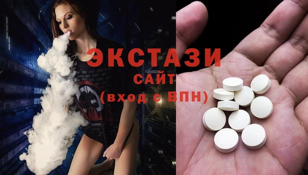индика Беломорск